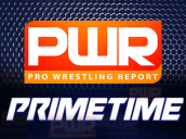 Pro Wrestling Report
