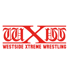 wXw Channel Logo