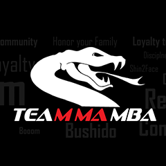 Mamba Fight League